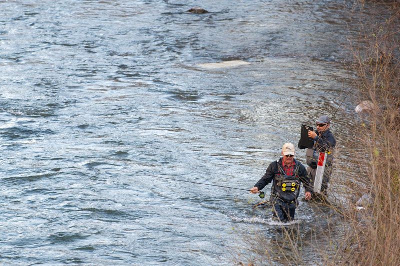 andoain-pesca-master