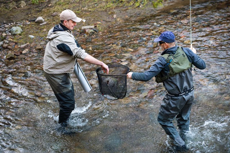 control verificar trucha