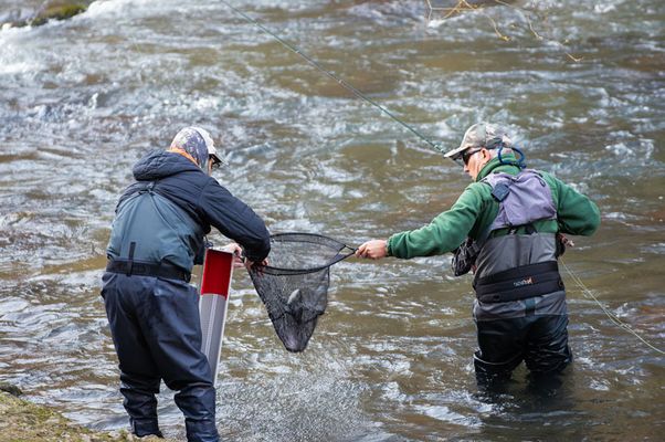 V Memorial Patxi Urruzuno – Pesca entre amigos en el Leitzaran