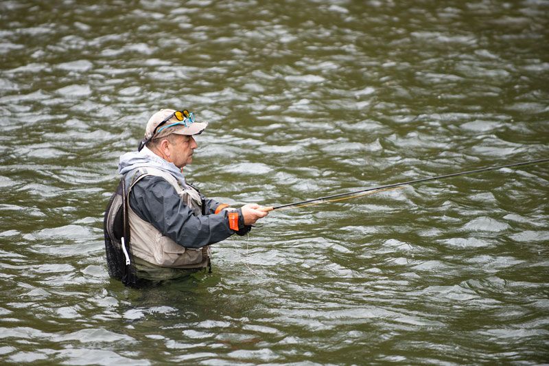 cuqui pescando aforos