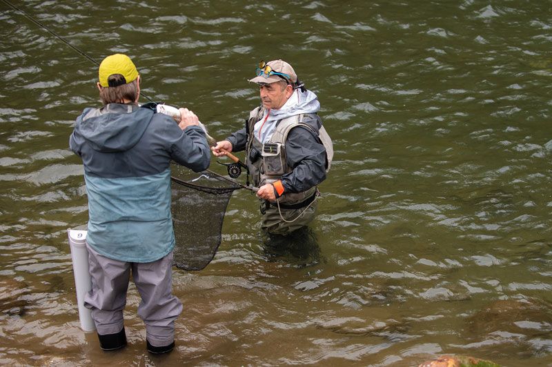 cucqui sacando trucha en aforos