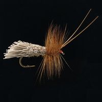 Big Goddard Caddis-E60