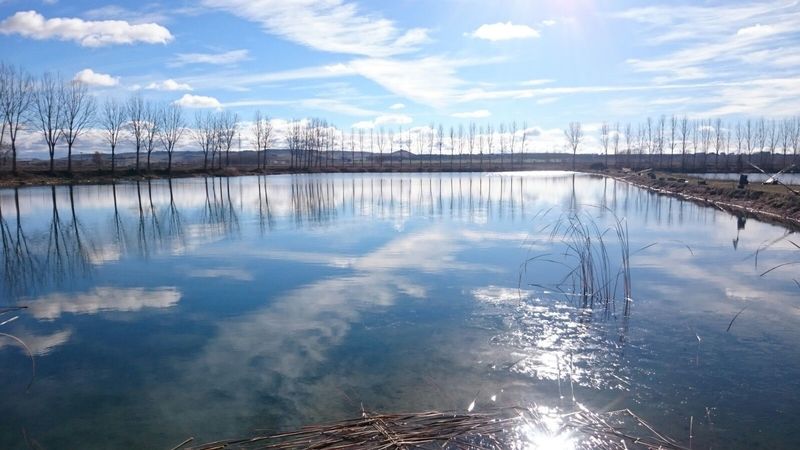 liga-santa-ana-bola-pesca-mosca-lago-01