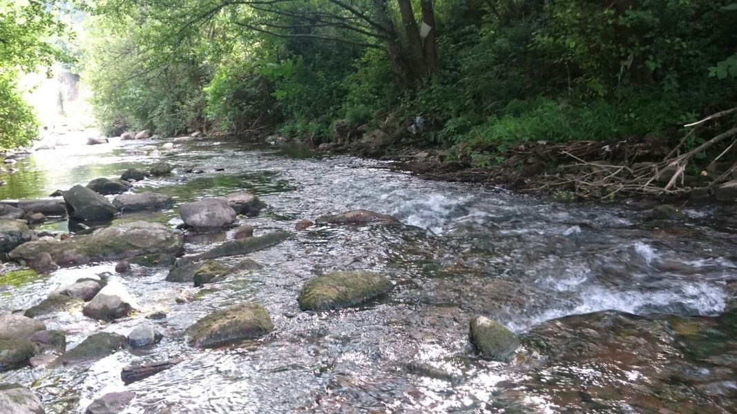 rio-alta-competicion-pesca-mosca