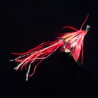 Allys Shrimp Red-S11