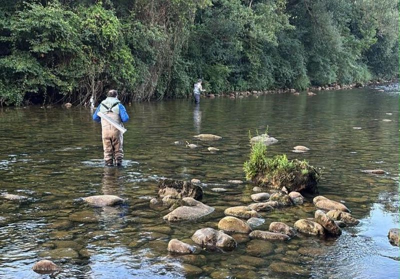 pescando trubia
