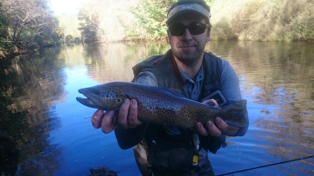 ander-perez-larruskain-pescando-trucha-comun