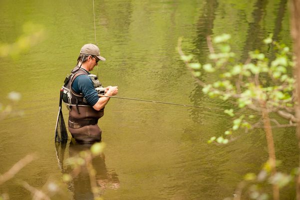 Coto de pesca intensiva abierto durante todo el año