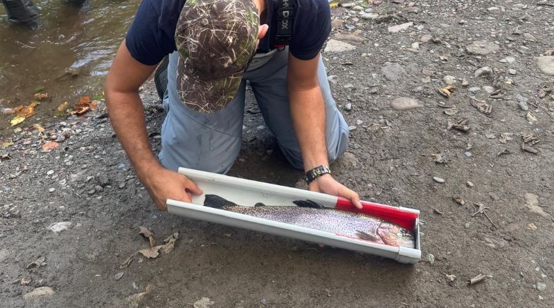 ascenso-liga-pesca-mosca-01