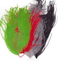 Plumas de Avestruz