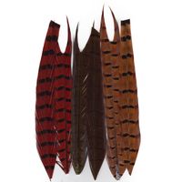 Plumas cola faisán Hends