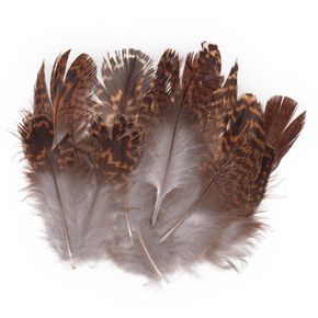 Plumas de Grouse