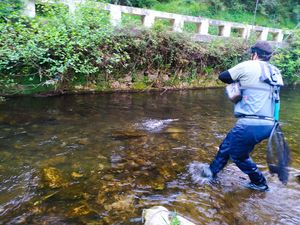 Ander Pérez campeón de Euskadi de pesca a mosca 2024