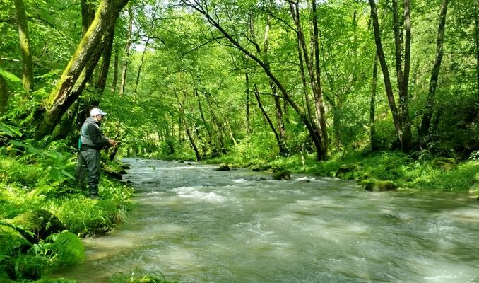 Campeonato de Euskadi de Pesca a Mosca 2026 en el río Leizarán: técnica, adaptación y gran ambiente entre pescadores