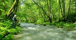 Campeonato de Euskadi de Pesca a Mosca 2026 en el río Leizarán: técnica, adaptación y gran ambiente entre pescadores