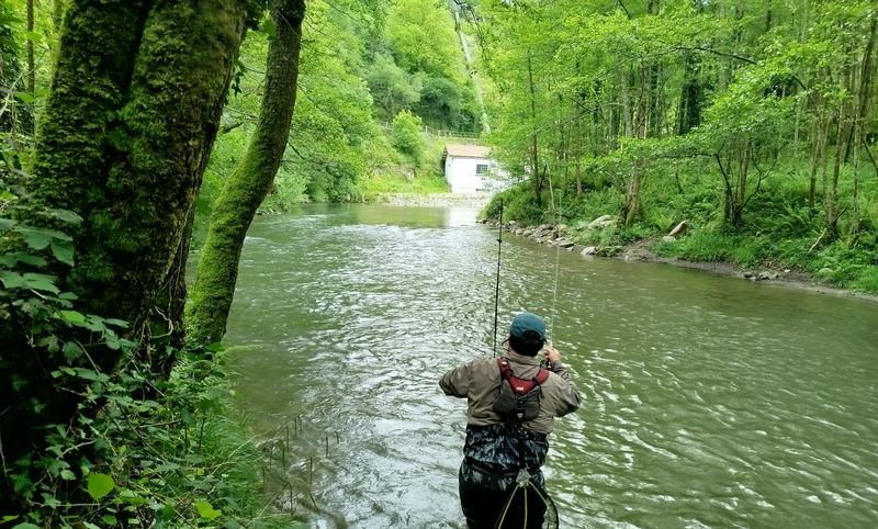 euskadi-pesca-mosca-leizaran-02