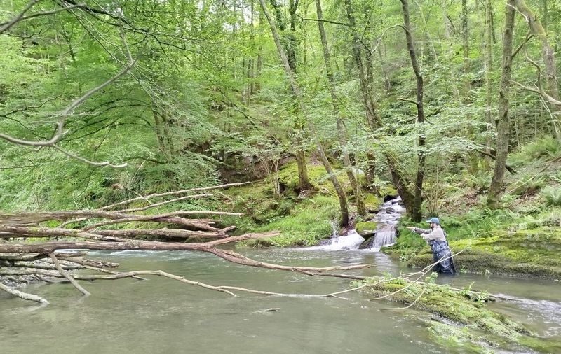 euskadi-pesca-mosca-leizaran-03