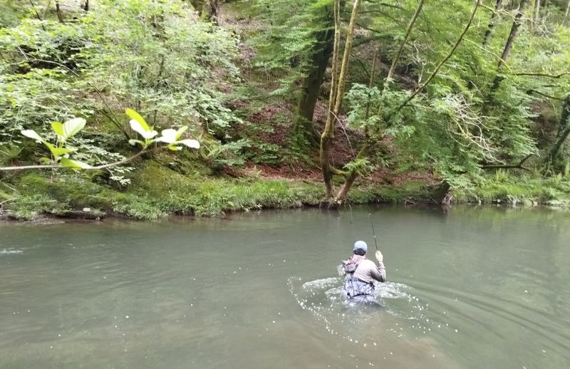 euskadi-pesca-mosca-leizaran-04