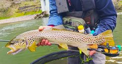 Grandes capturas en el Campeonato de Euskadi de Pesca a Mosca 2025