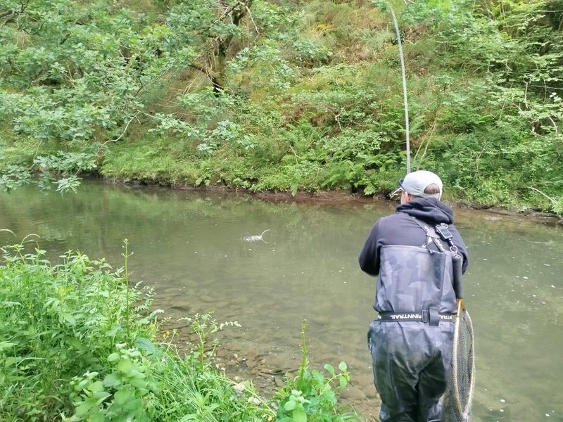 campeonato-gipuzkoa-pesca-2026-06