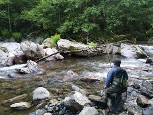 2 Fase selectivo pesca a mosca de Euskadi