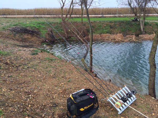 cañas de pesca a mosca para lago