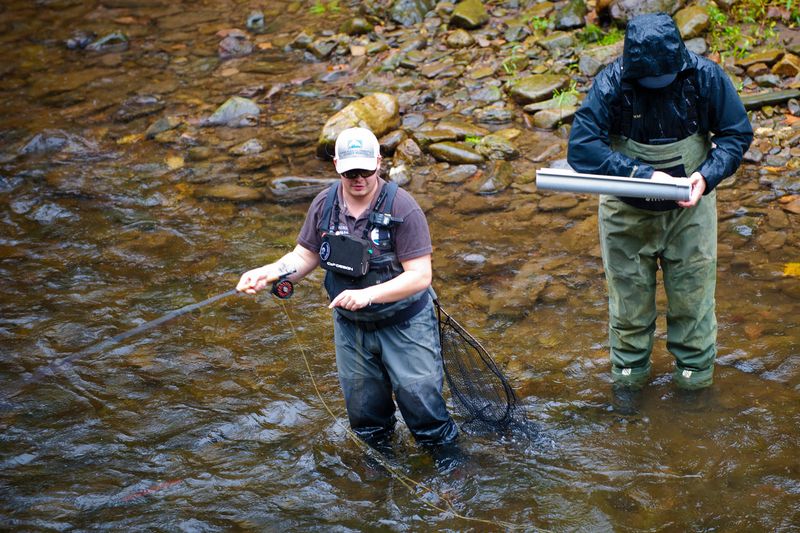 competicion pesca mosca rio leizaran gipuzkoa