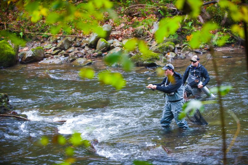 competicion pesca mosca rio leizaran gipuzkoa 01