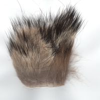 Pelo de Coyote