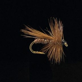 Brown Sedge-E69