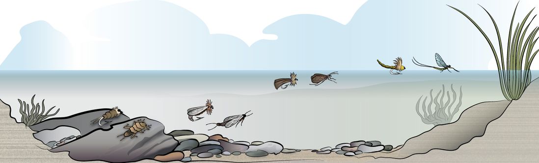 Moscas de pesca