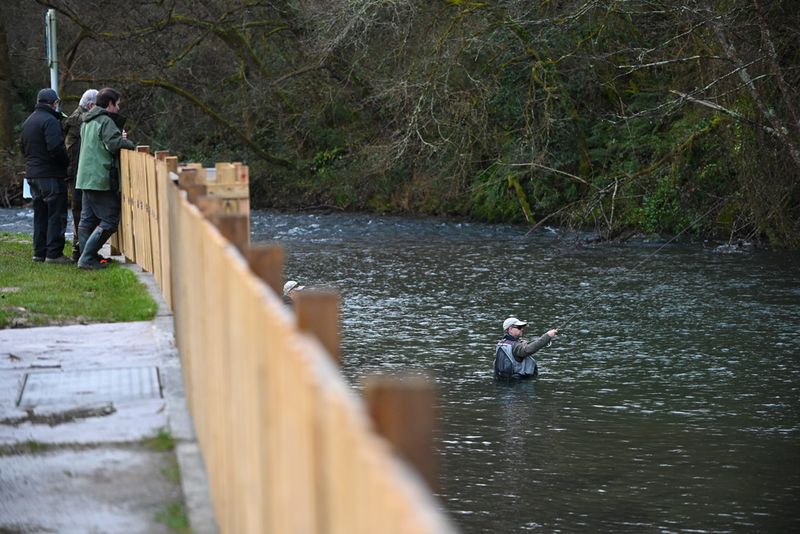 open-pesca-mosca-autonomias-veteranos-13