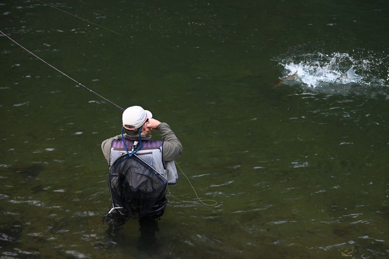 open-pesca-mosca-autonomias-veteranos-15