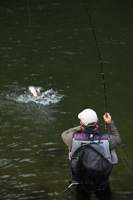 open-pesca-mosca-autonomias-veteranos-17