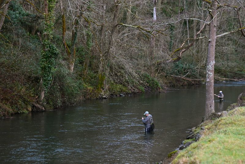 open-pesca-mosca-autonomias-veteranos-21