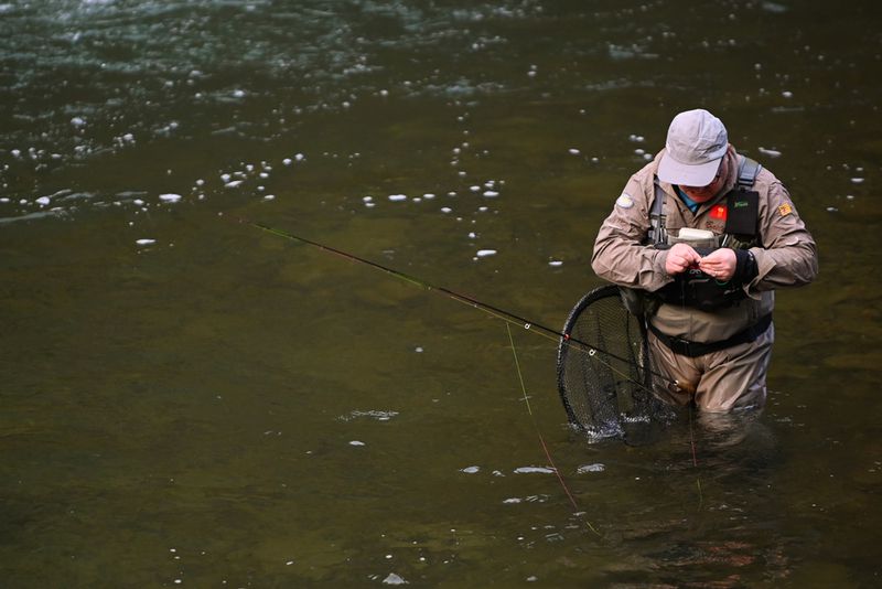 open-pesca-mosca-autonomias-veteranos-24
