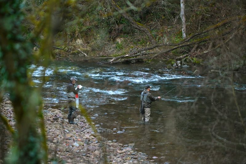 open-pesca-mosca-autonomias-veteranos-5