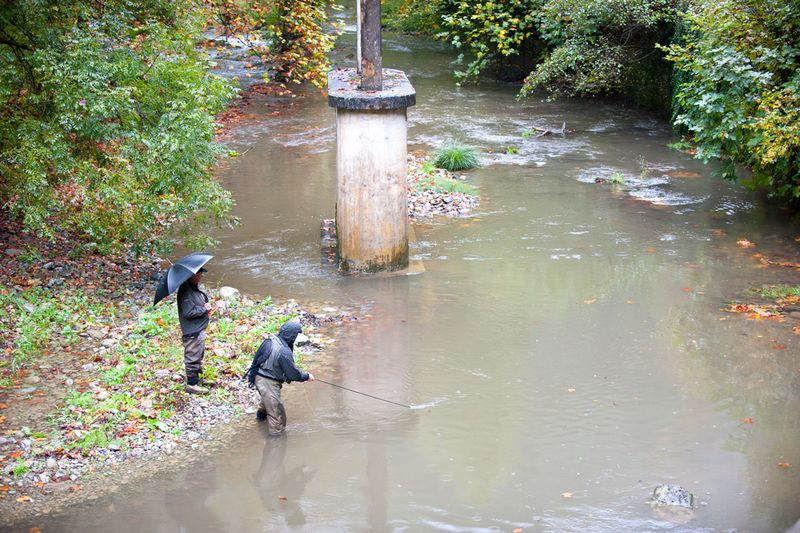 open-pesca-mosca-veteranos