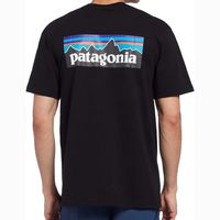 Camiseta Patagonia P-6 Responsibili-tee