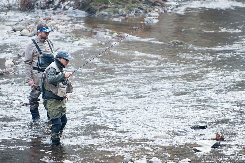 pesca-a-mosca-rio-araxes-liga-pedro-gomez