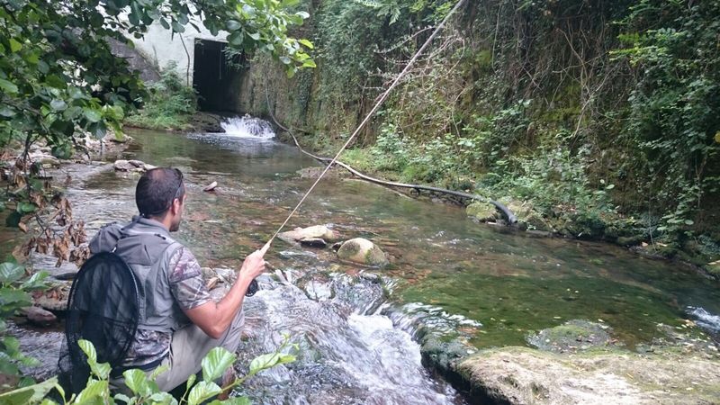 pesca-a-mosca-seca
