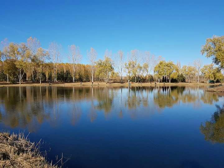 pesca-mosca-lago-renedo-santa-ana-01