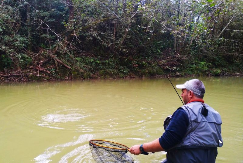 pesca mosca liga gipuzkoa