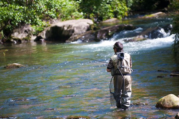 Campeonato de Veteranos de Pesca a Mosca de Gipuzkoa y Euskadi – Río Zelai, 11 de mayo