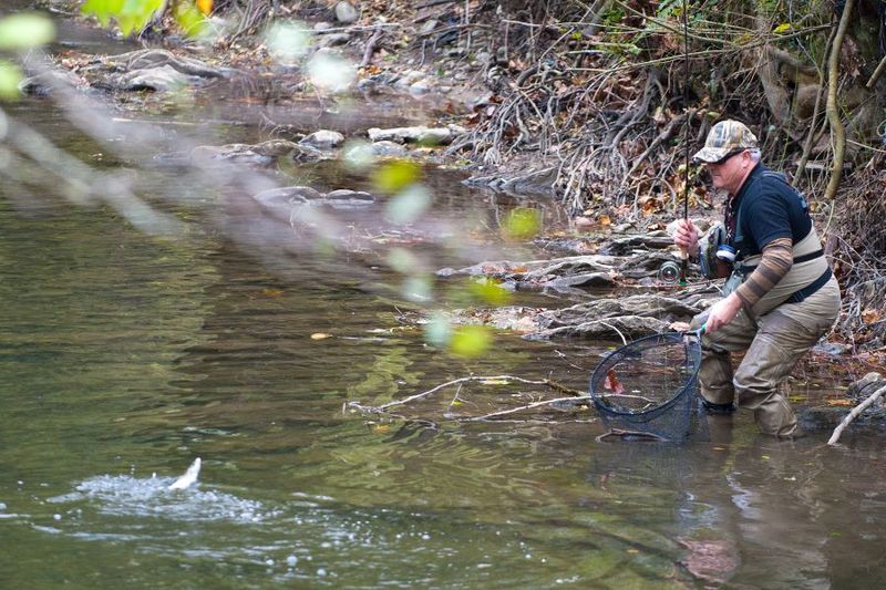 pescando-araxes-tolosako