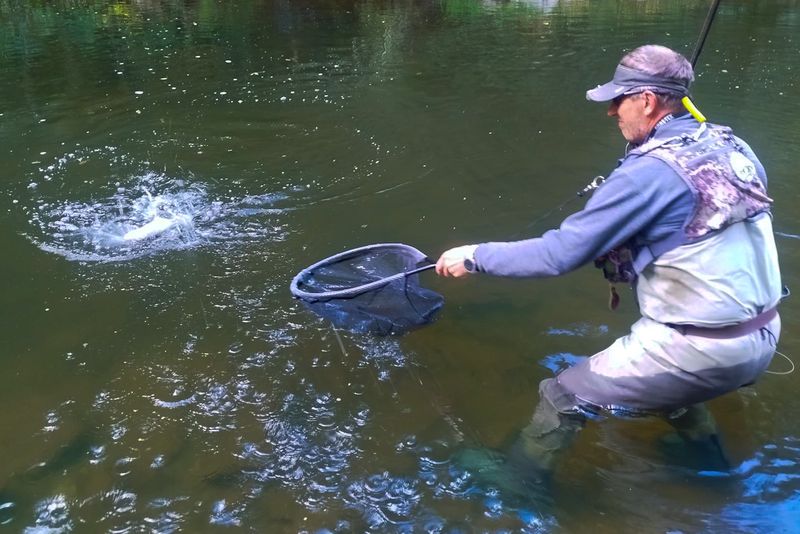 pescando-leitzaran-campeonato-españa