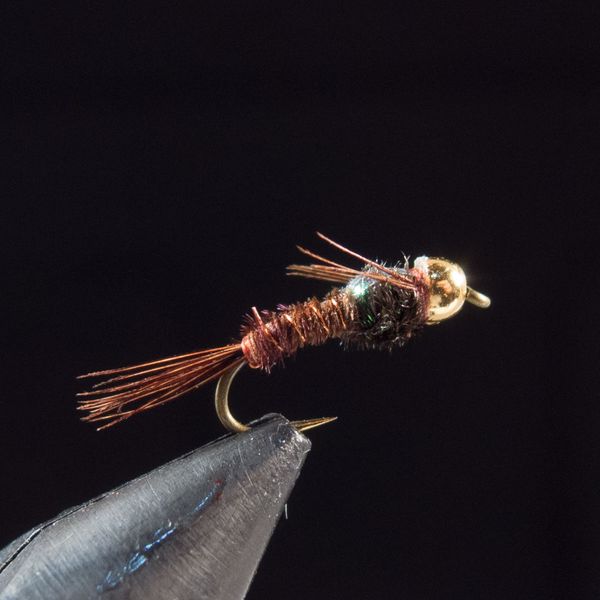 pheasant tail blog