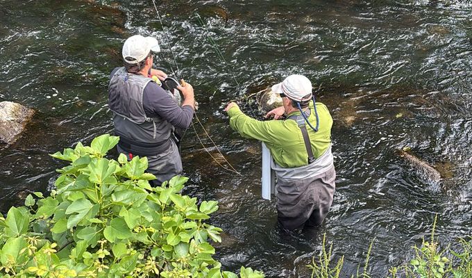 Campeonato Veteranos de Gipuzkoa/Euskadi de Pesca a Mosca 2026: experiencia, amistad y la historia del burro que nadie olvidará