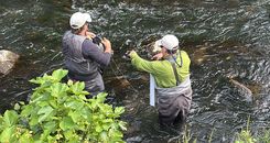 Campeonato Veteranos de Gipuzkoa/Euskadi de Pesca a Mosca 2026: experiencia, amistad y la historia del burro que nadie olvidará