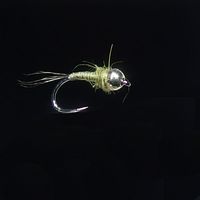 Ninfa SR Skinny Quill Olive - TG50